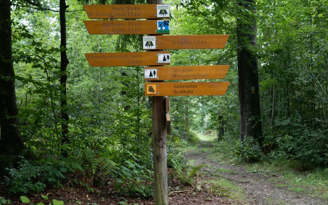 Être au clair avec ce pour quoi je suis faite et où je souhaite le faire